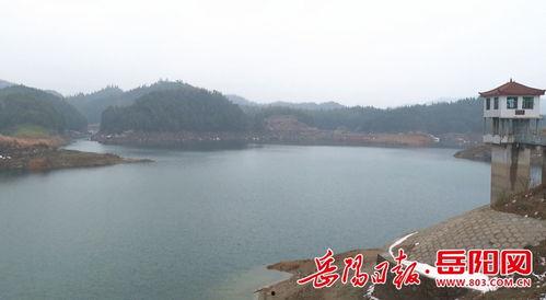 团湖水库爆料最新消息,揭秘水质改善与生态保护新进展